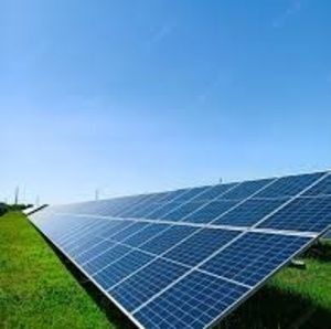 Meet your Posher, Pedro